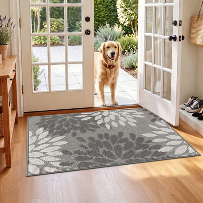 HEBE Indoor Door Mat, Non Slip Washable Mats for Front Door Entrance, Low Profile Dirt Trapper Doormat Entry Carpet for Entryway, Kitchen, Bathroom