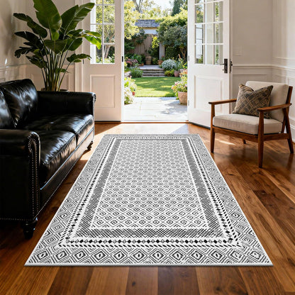 Area Rugs Soft Low Pile Non Slip Washable Rug Floor Mat for Entryway Kitchen Bedroom Living Room Dorm