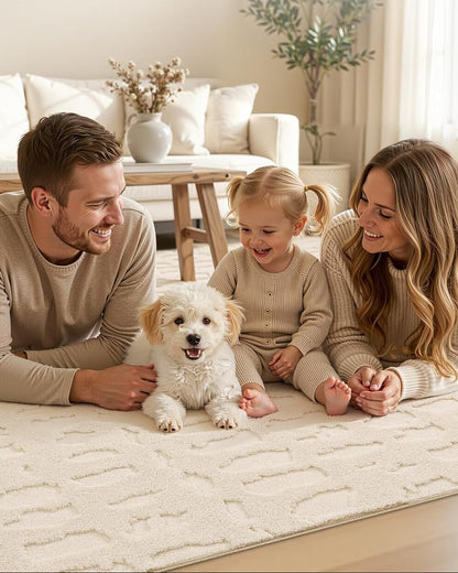 Washable Area Rug, High-Low Grid Textured Living Room Rugs
