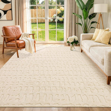 Washable Area Rug, High-Low Grid Textured Living Room Rugs