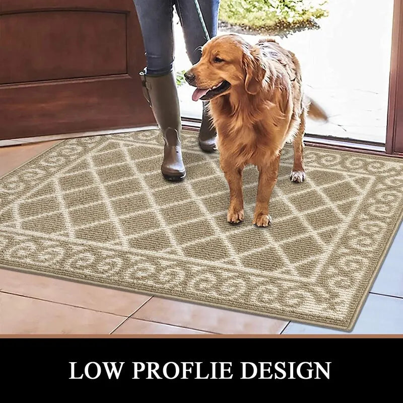 AR002953beigelowprofiledoormat2x3petfriendlyfrontdoorrugforhighclearanceentryHEBE RUGS