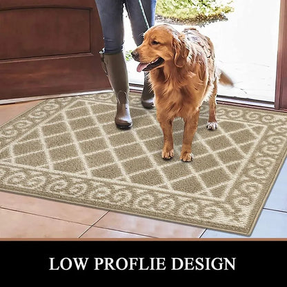 AR002953beigelowprofiledoormat2x3petfriendlyfrontdoorrugforhighclearanceentryHEBE RUGS