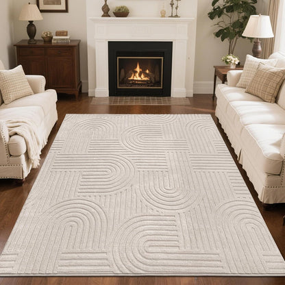 Cozy Fluffy Area Rug Non Slip Washable Scandinavian Minimalist Modern Rug