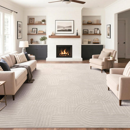 Cozy Fluffy Area Rug Non Slip Washable Scandinavian Minimalist Modern Rug