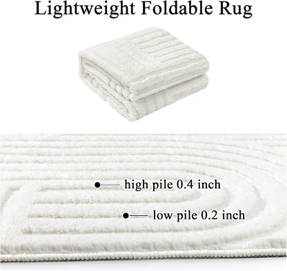 Cozy Fluffy Area Rug Non Slip Washable Scandinavian Minimalist Modern Rug