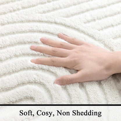 Cozy Fluffy Area Rug Non Slip Washable Scandinavian Minimalist Modern Rug