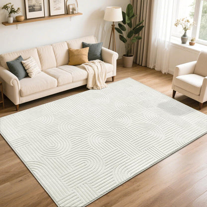 Cozy Fluffy Area Rug Non Slip Washable Scandinavian Minimalist Modern Rug