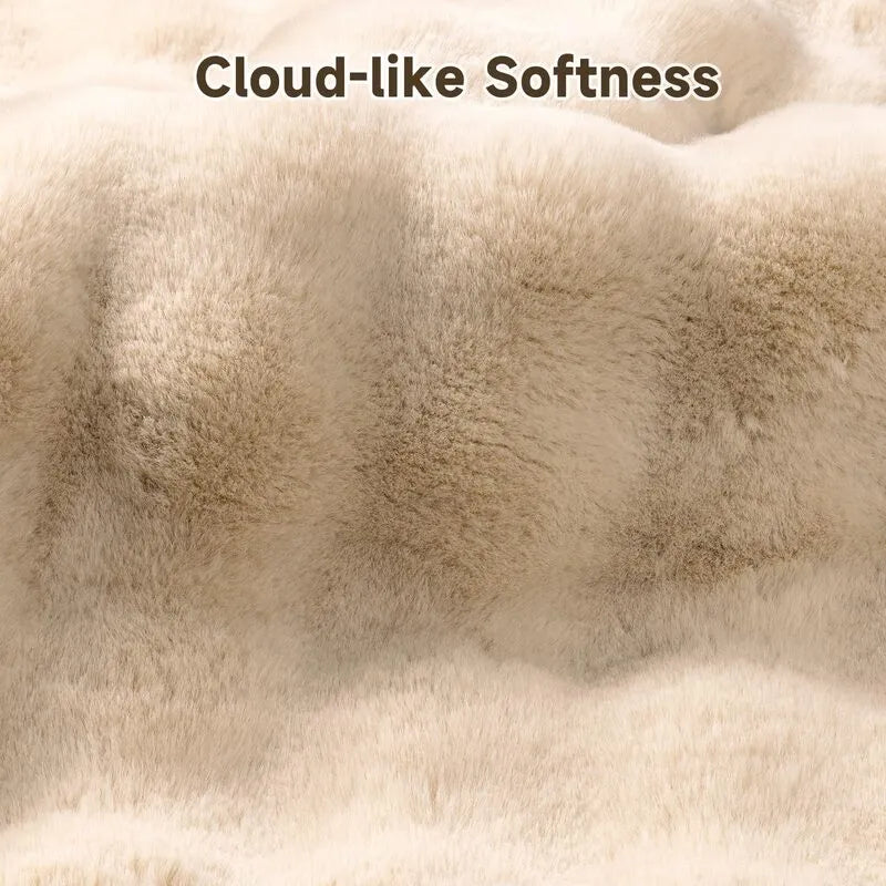 AR008487beigecloudlikesoftnessfluffyplushshag4x6arearugcloseupdetailheberug