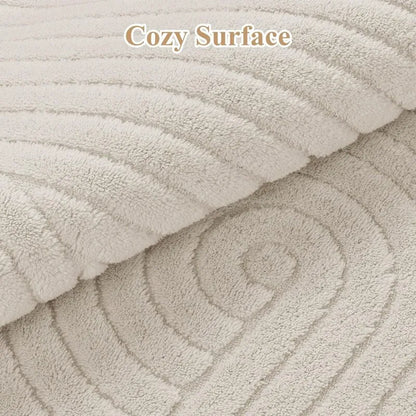 AR008969beigesoftcozysurfacemodernarchcarvedtexturedarearugcloseupforUShomeheberug