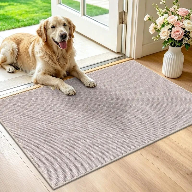 AR009932_grey_2x3_entryway_rug_natural_woven_doormat_indoor_front_door_mat_golden_retriever_US_home_HEBE RUGS