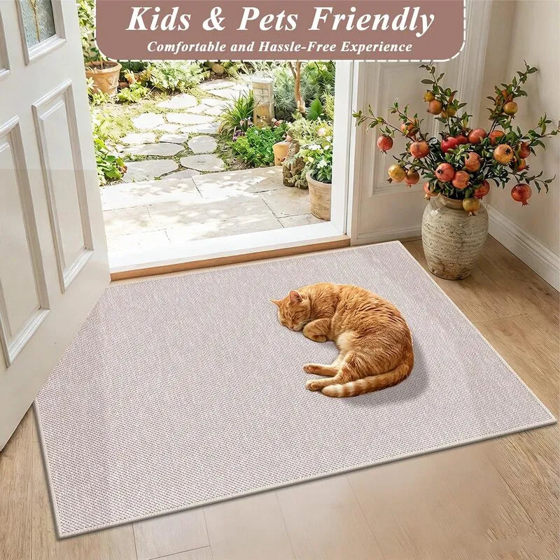 AR009932_grey_pet_friendly_doormat_2x3_natural_woven_indoor_front_door_rug_for_cats_dogs_US_home_HEBE RUGS